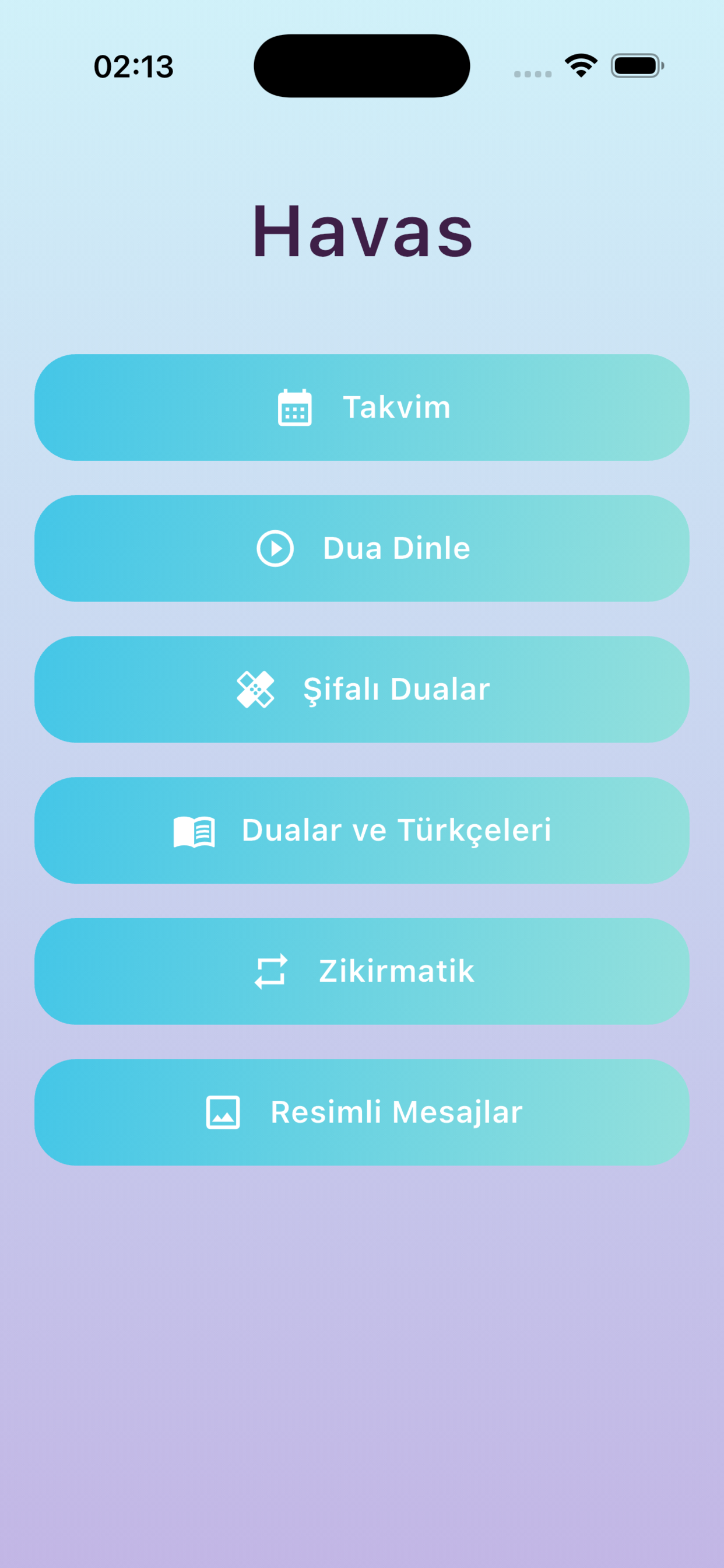 Havas ana ekran görüntüsü